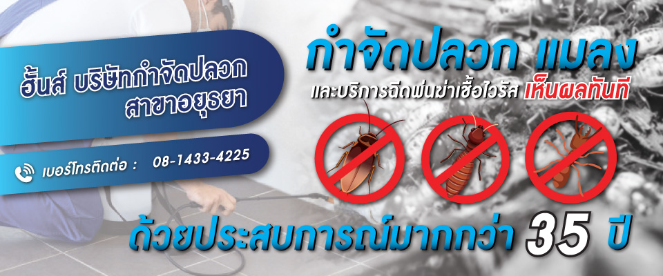 กำจ ดปลวกอย ธยา ปลวกข นบ าน เจอร งปลวก ร บฉ ดยากำจ ดปลวก
